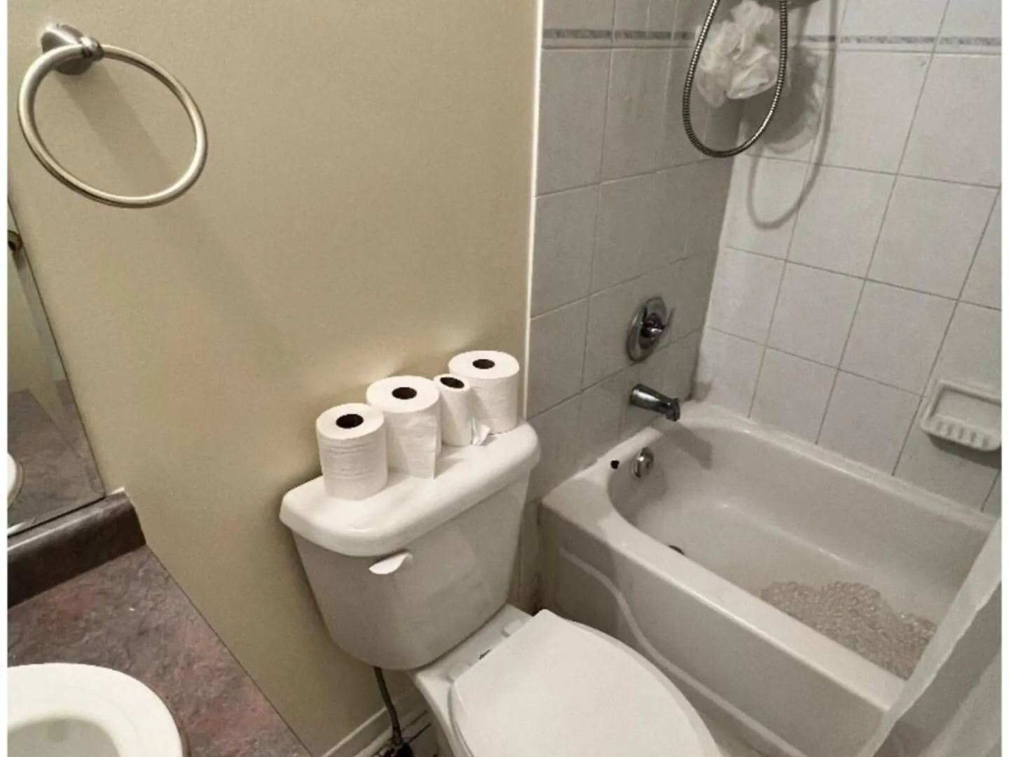 R5 Room Near Airport ミシサガ